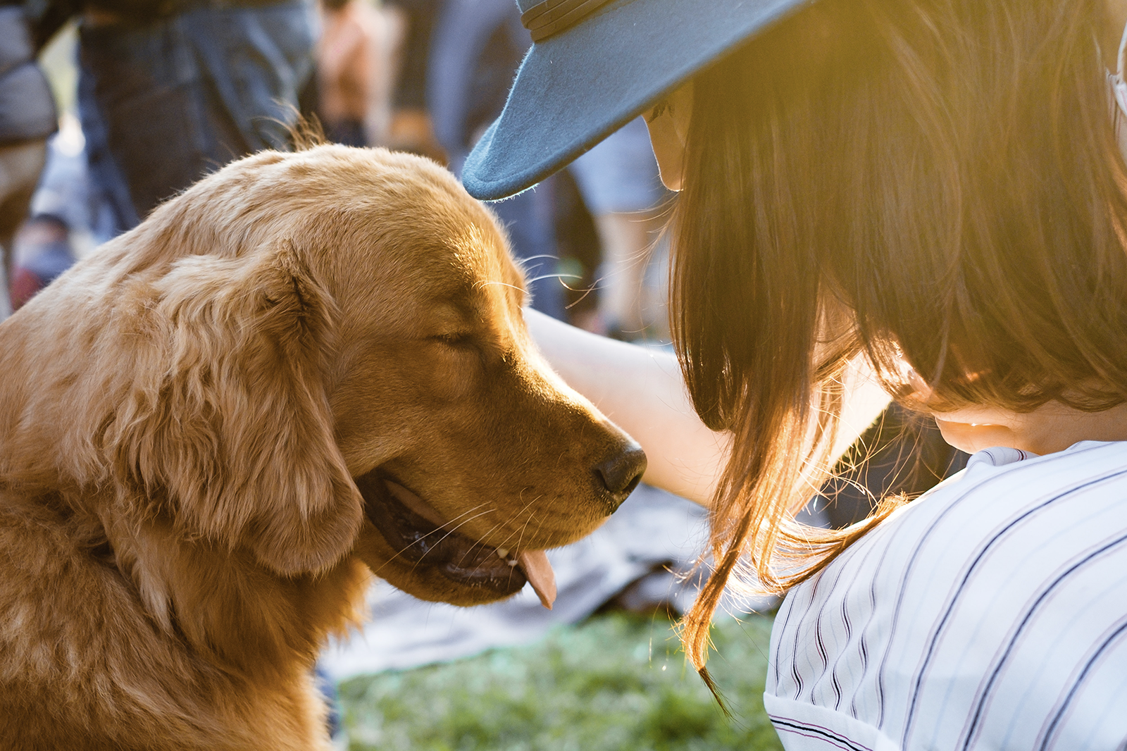 can humans and dogs take same cbd oil