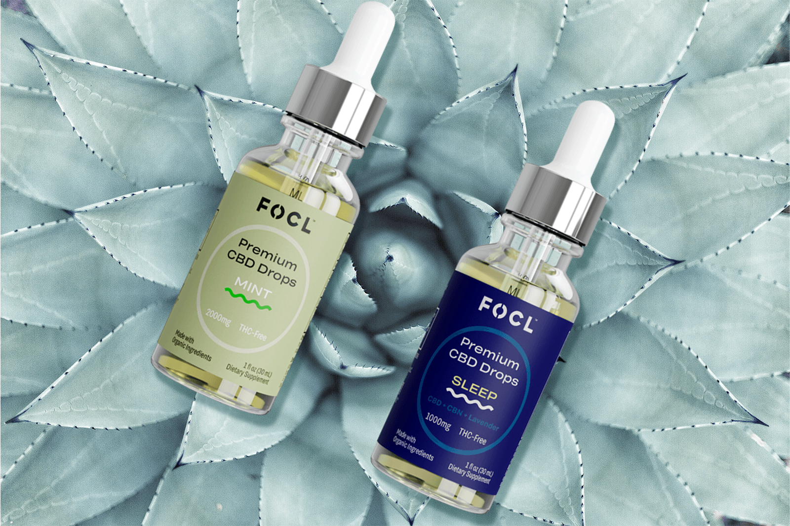 Does CBD Oil Make You Relaxed? Learn How FOCL Can Help