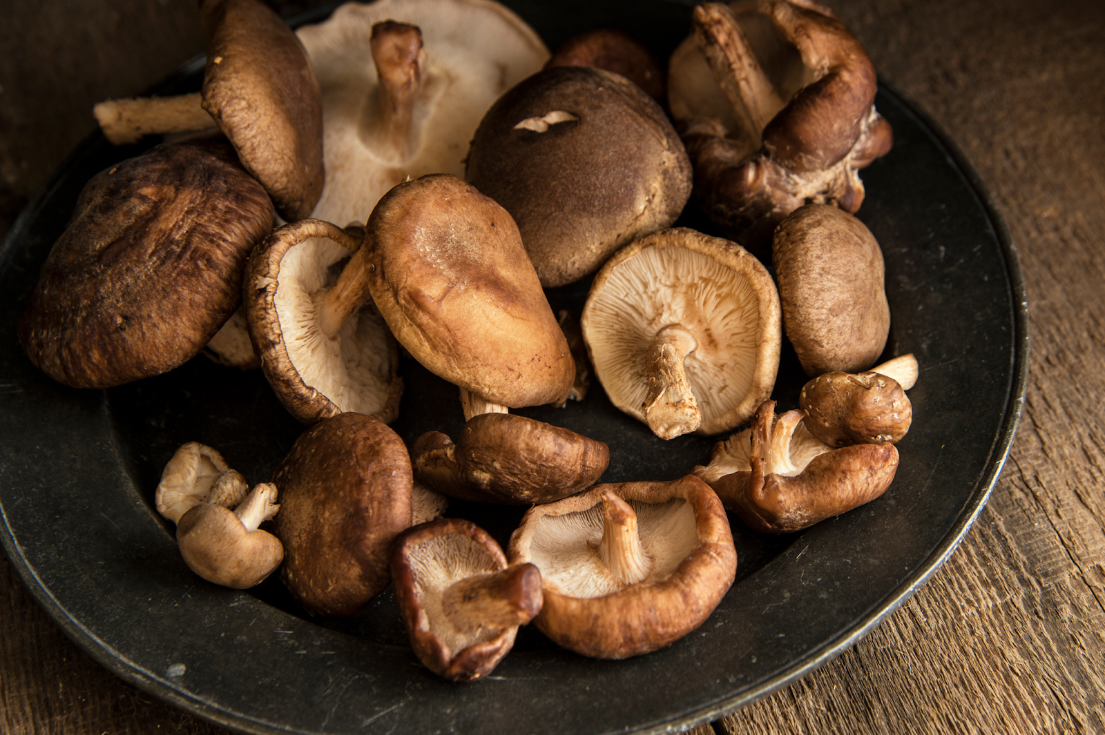 Shiitake Mushrooms: High in Uric Acid - FOCL Wellness Ingredients