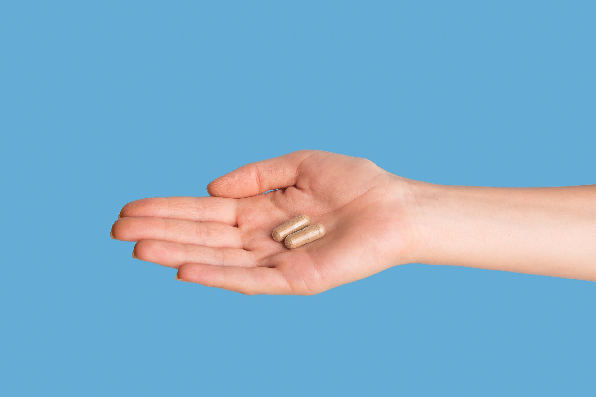 Do CBD Capsules Expire? Learn the Facts FOCL