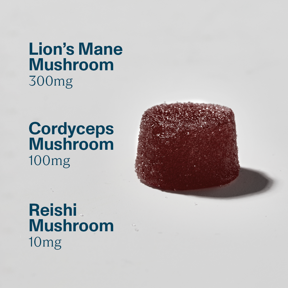 FOCL Better Brain supplement ingredients showcasing plant-based, functional elements for enhanced focus and clarity.