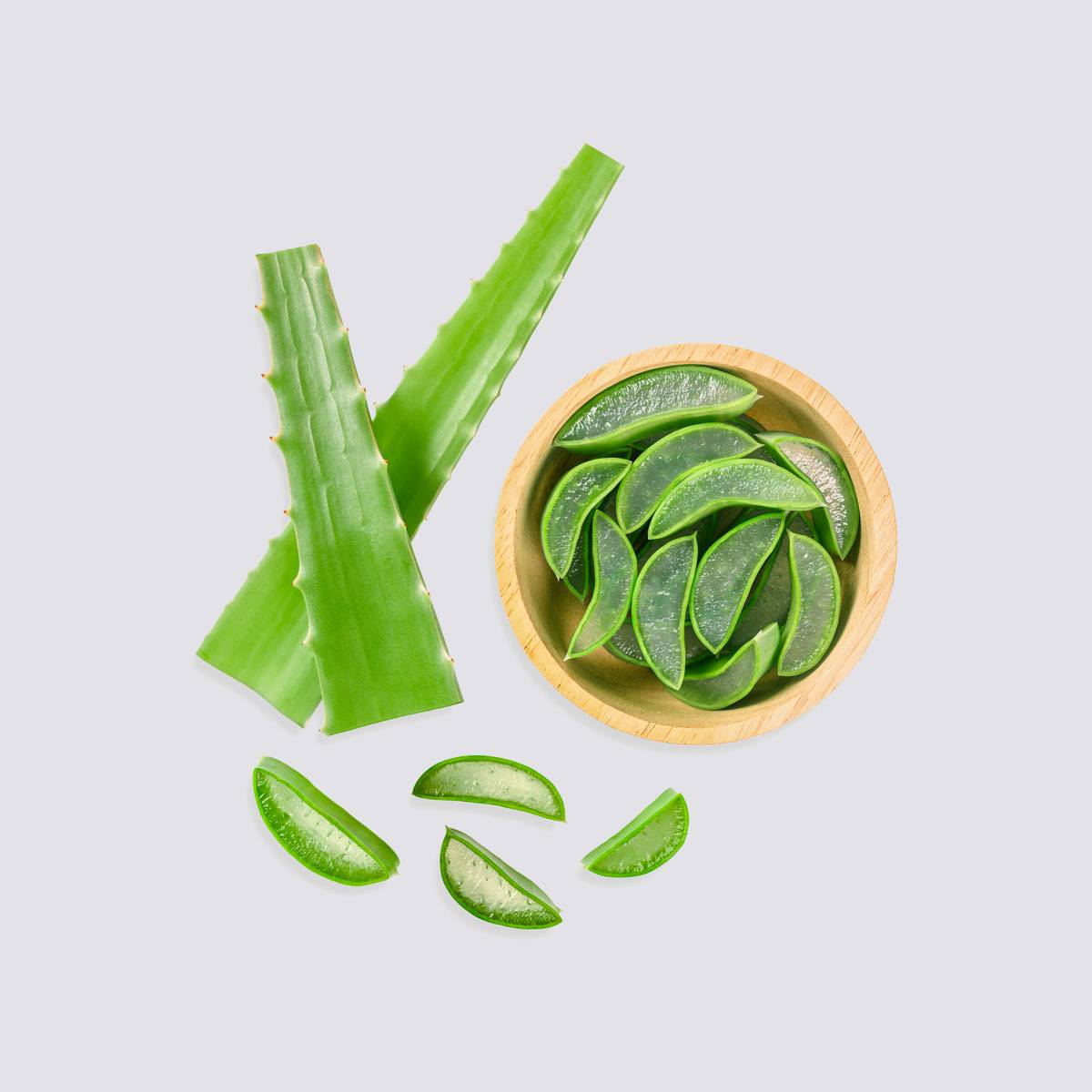 ingredient aloe vera