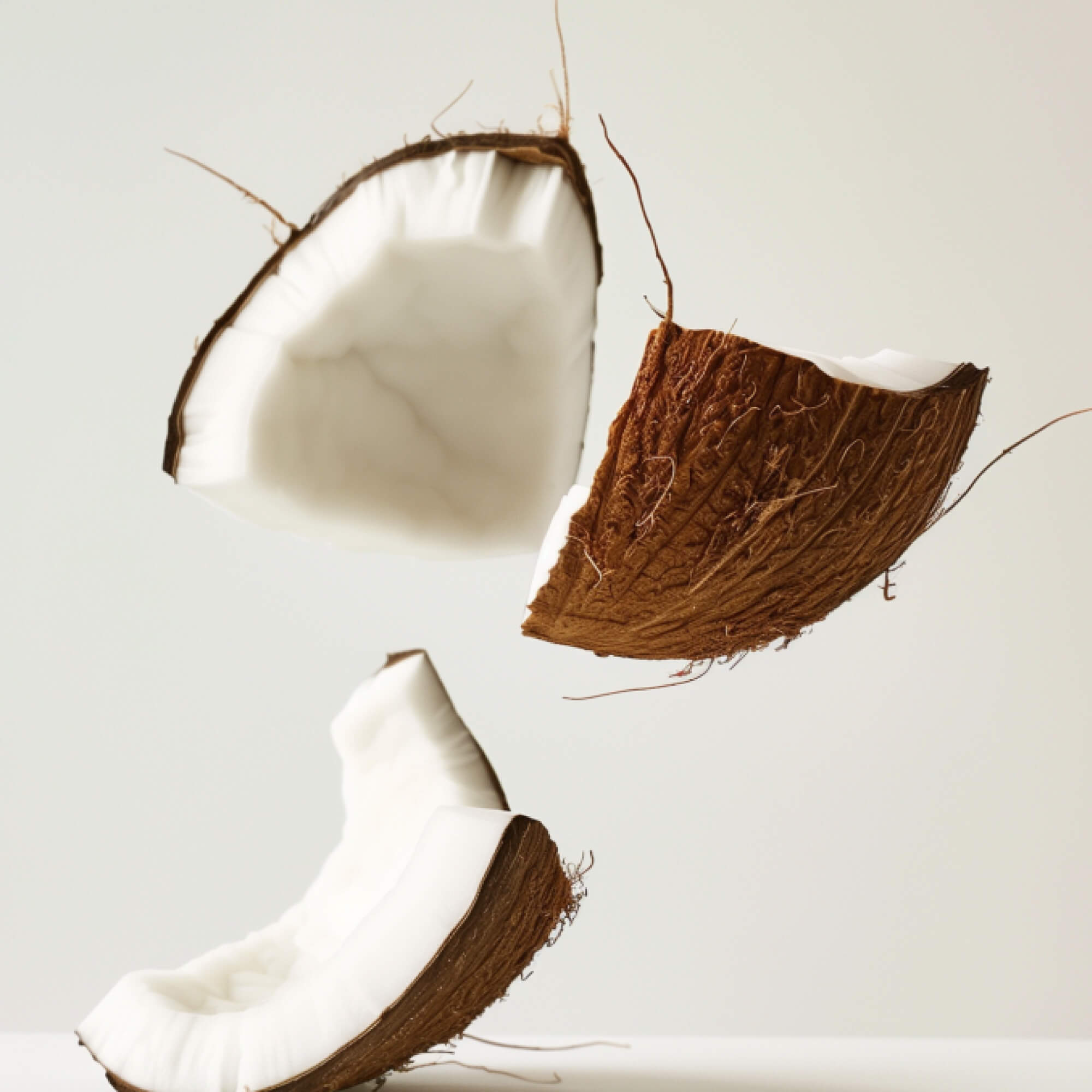 FOCL Coconut