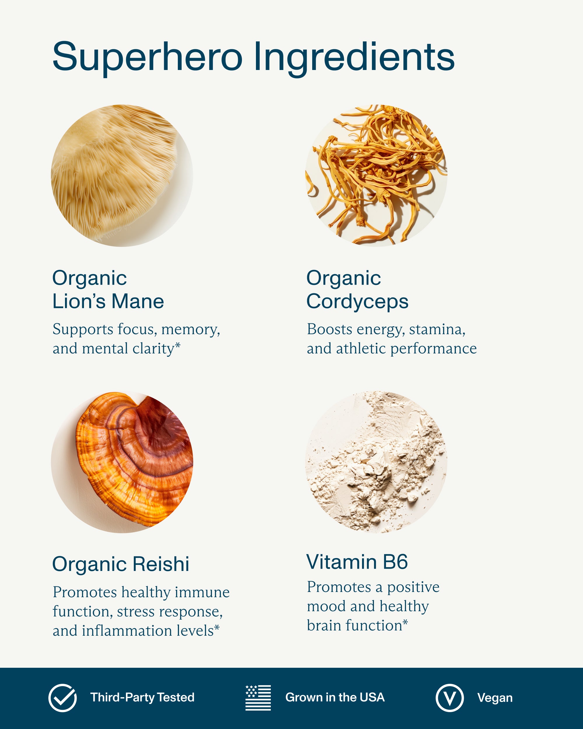 FOCL BetterBrain Gummies - Plant-based, functional ingredients - Promoting clarity and focus.
