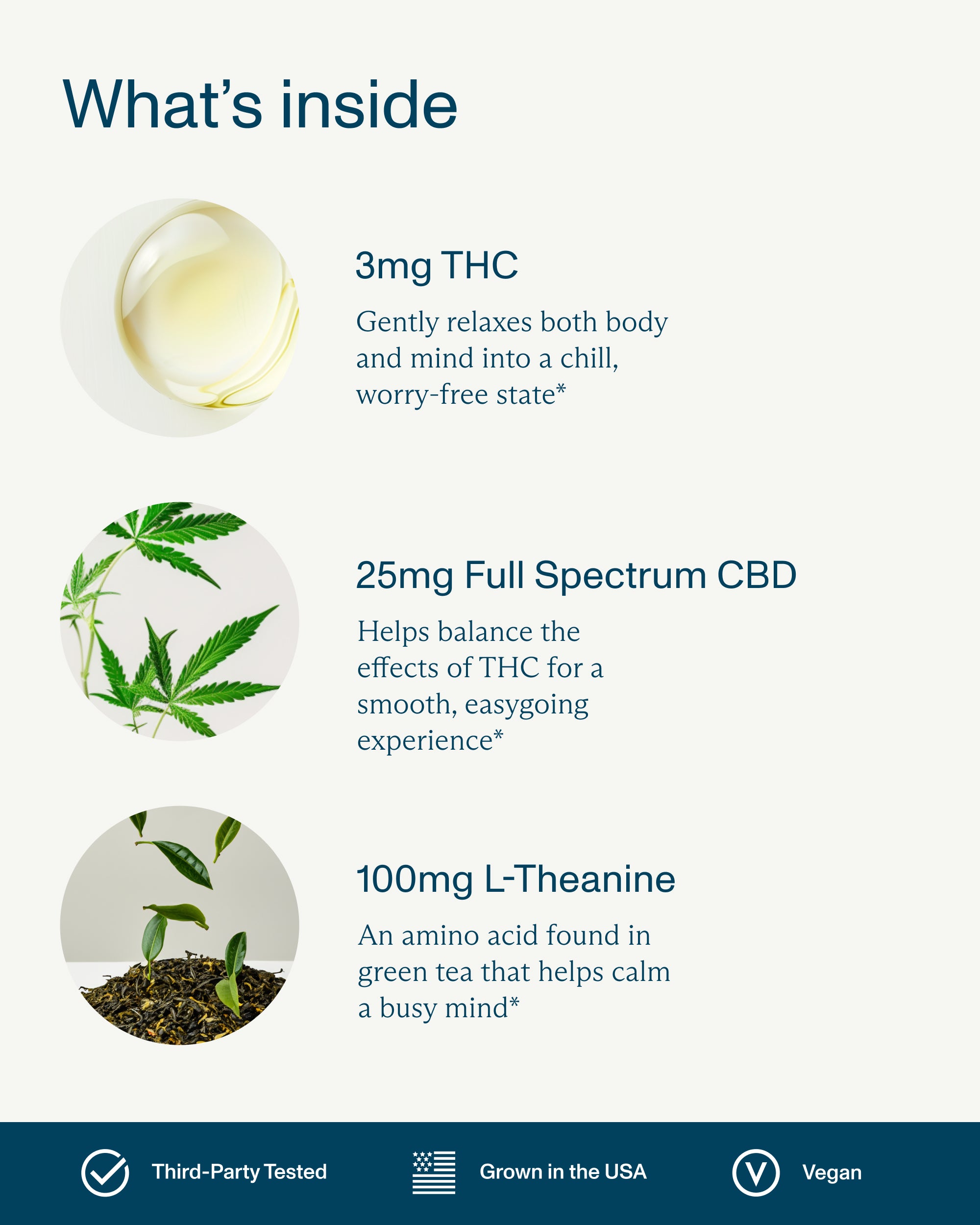 FOCL Chill Supplement - plant-based wellness capsules for stress relief and calm.