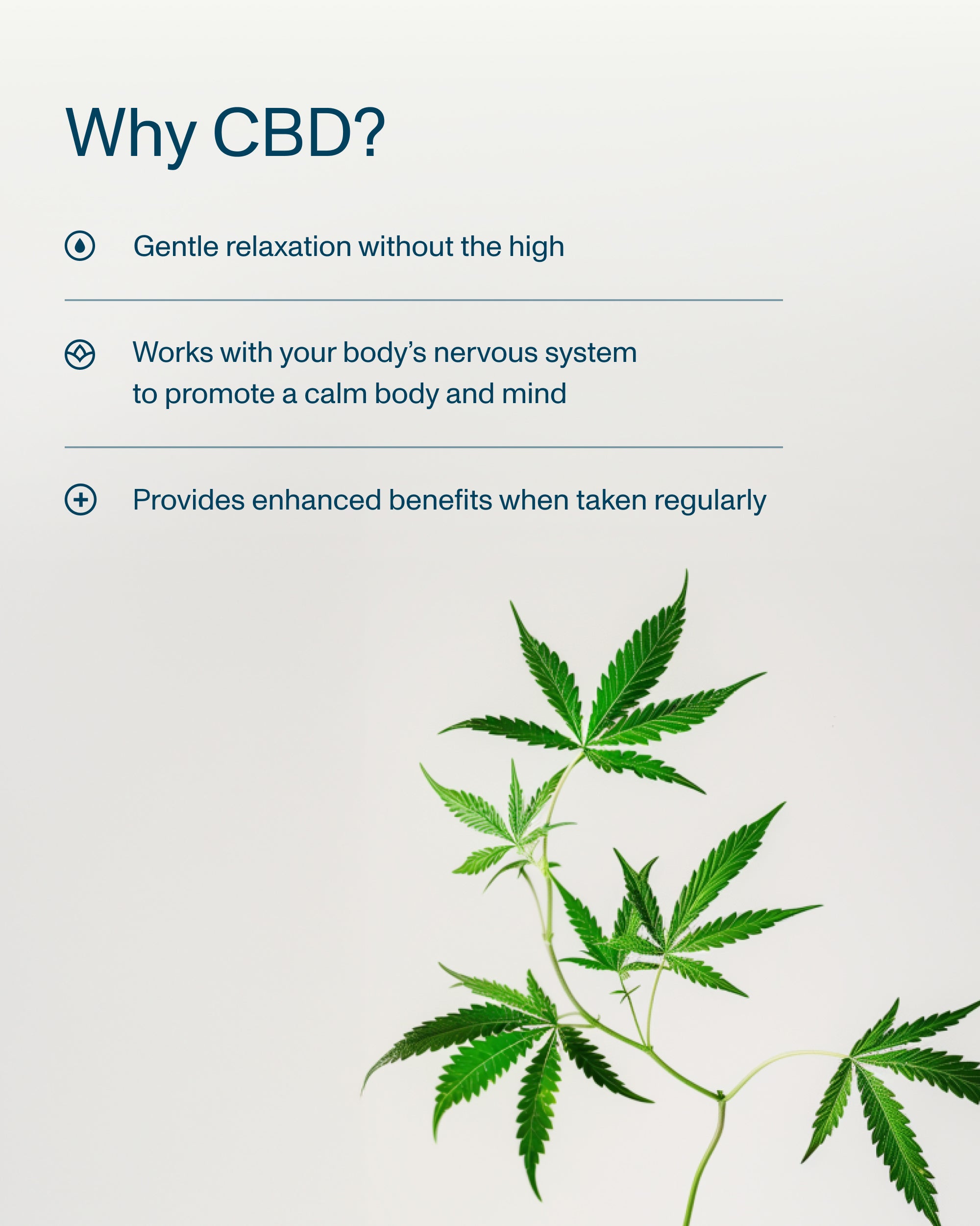 FOCL Daily Calm Drops - Hemp-infused wellness supplement - Promotes calm and balance.