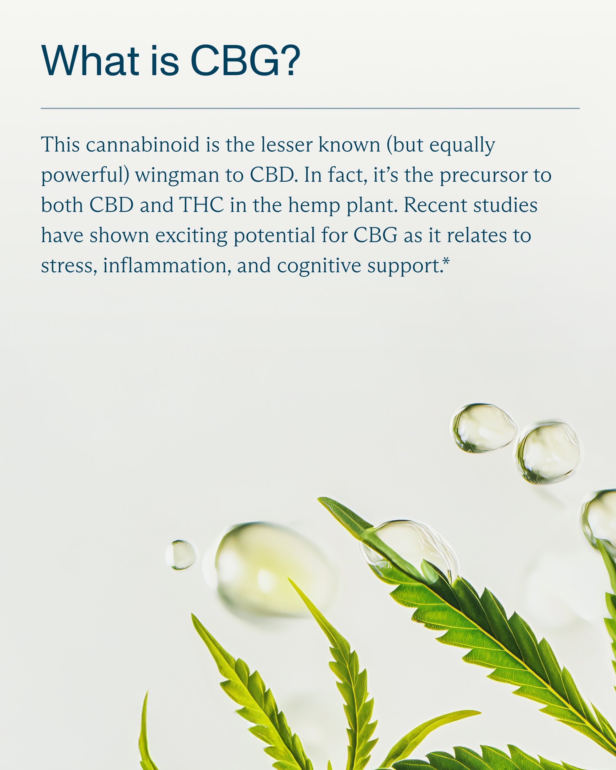 Daily Soothe Full Spectrum CBG+CBD Drops (Save $32)