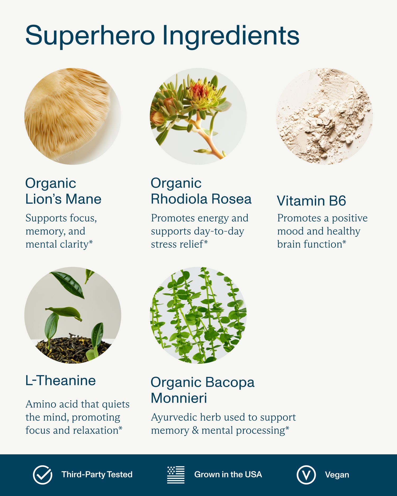 FOCL DayStack product showcasing natural superfood ingredients for focus, calm, and pain relief.