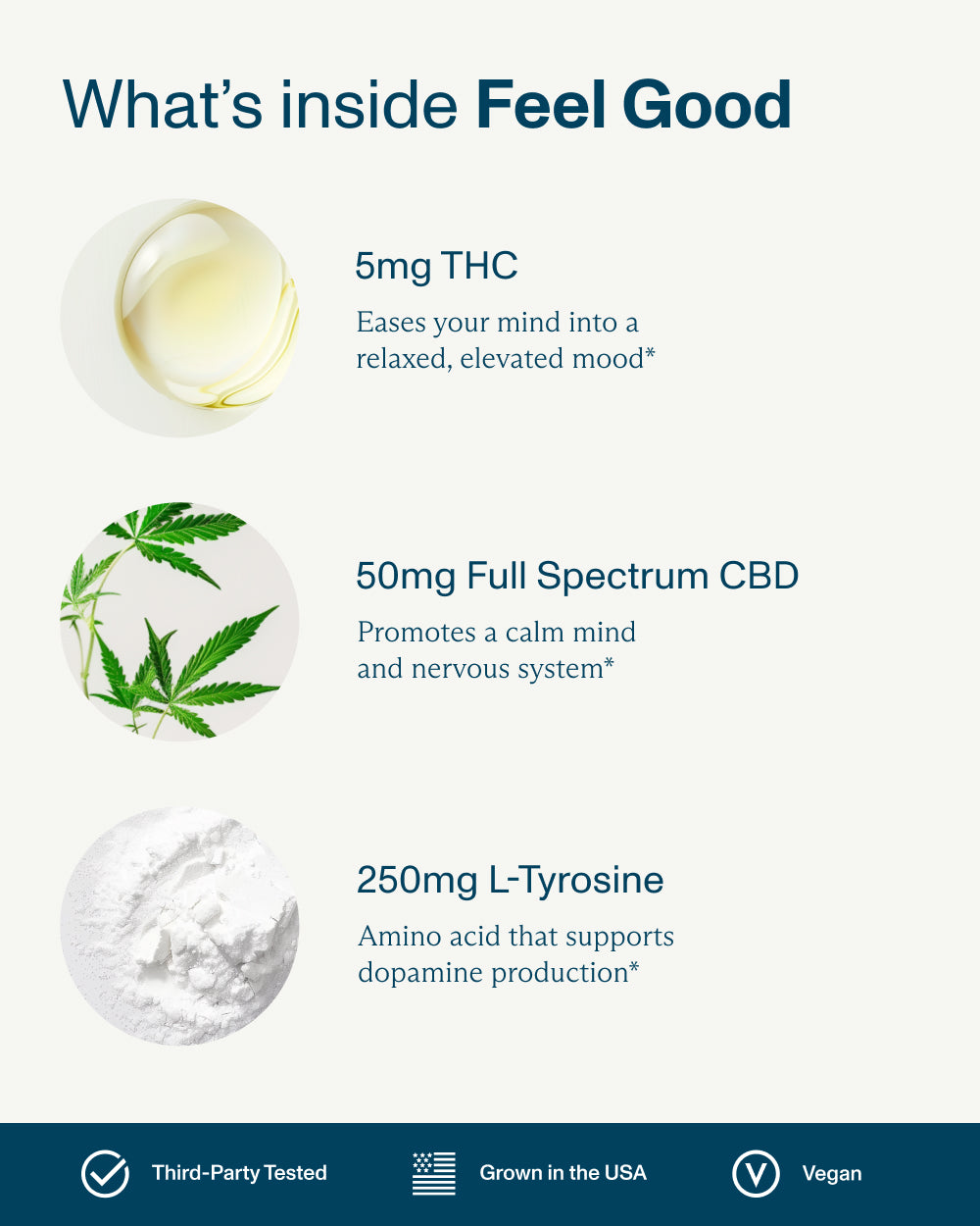 FOCL Variety Bundle with hemp-based supplements for sleep support, calm enhancement, and focus improvement.