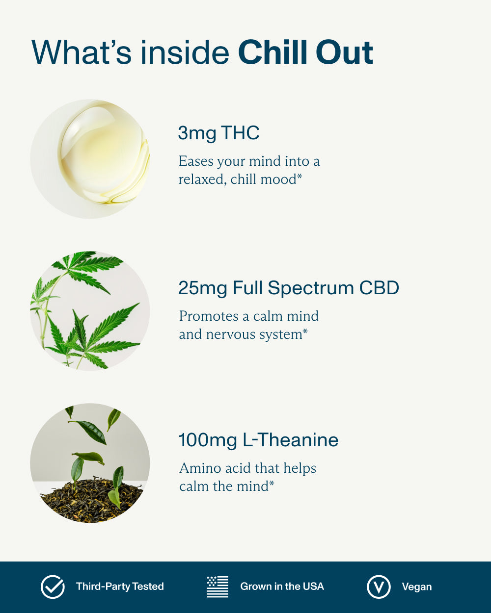 FOCL Variety Bundle featuring hemp-based supplements for sleep support, calm, focus, and pain relief.