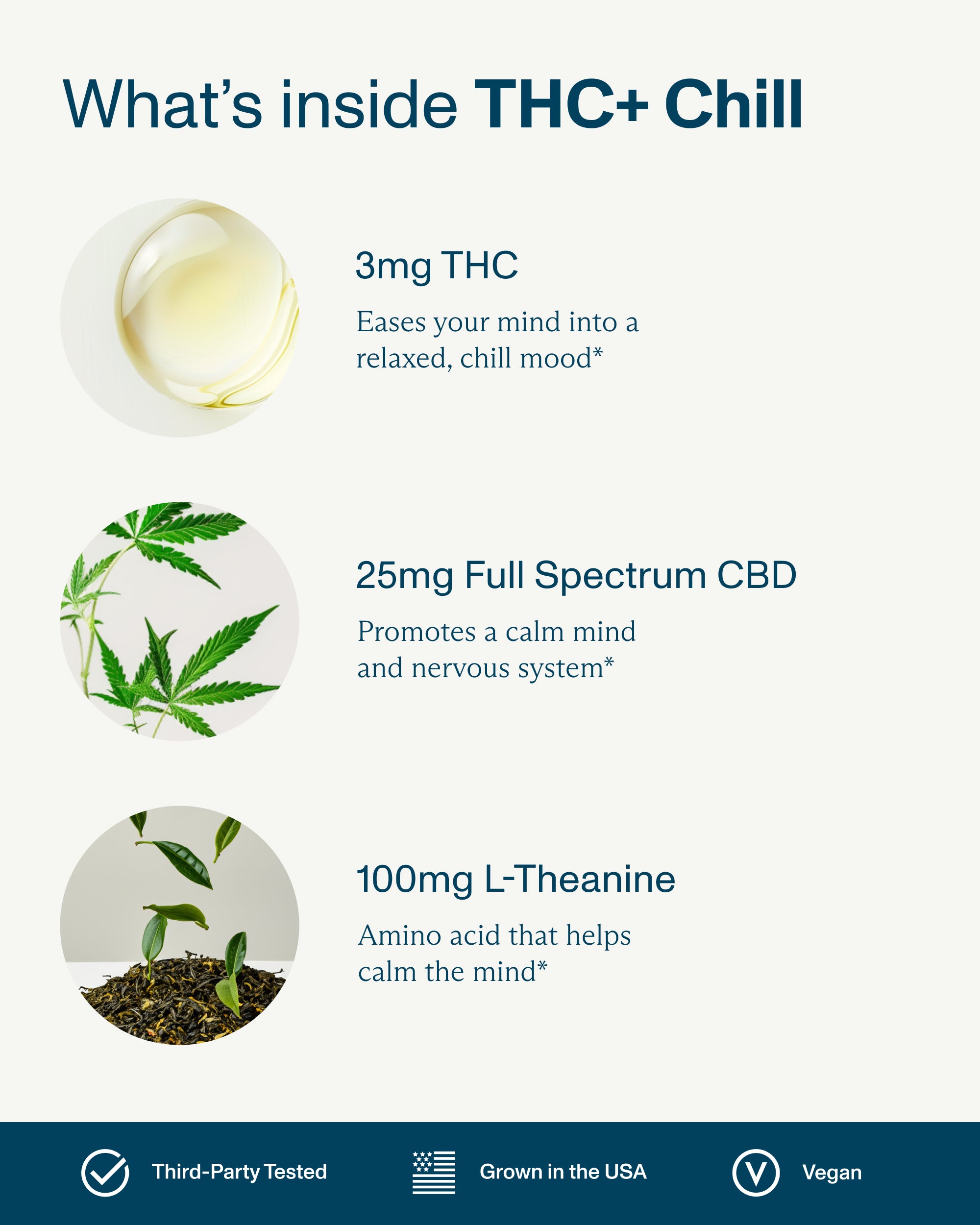 FOCL Variety Bundle - Hemp-based wellness supplements for sleep, focus, and calm.