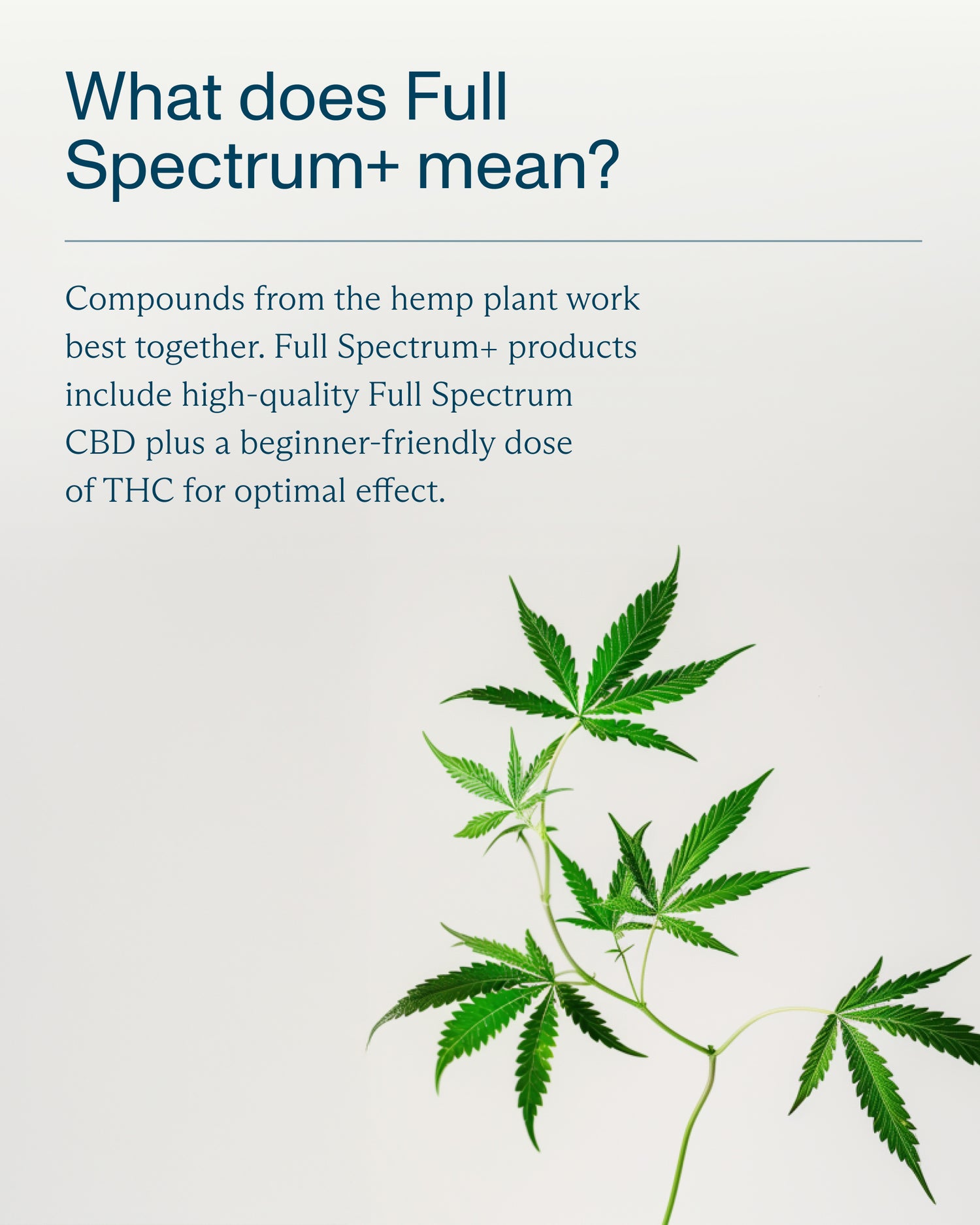 FOCL FeelGood Gummies - Hemp-infused wellness supplement for calm, focus, and relief.