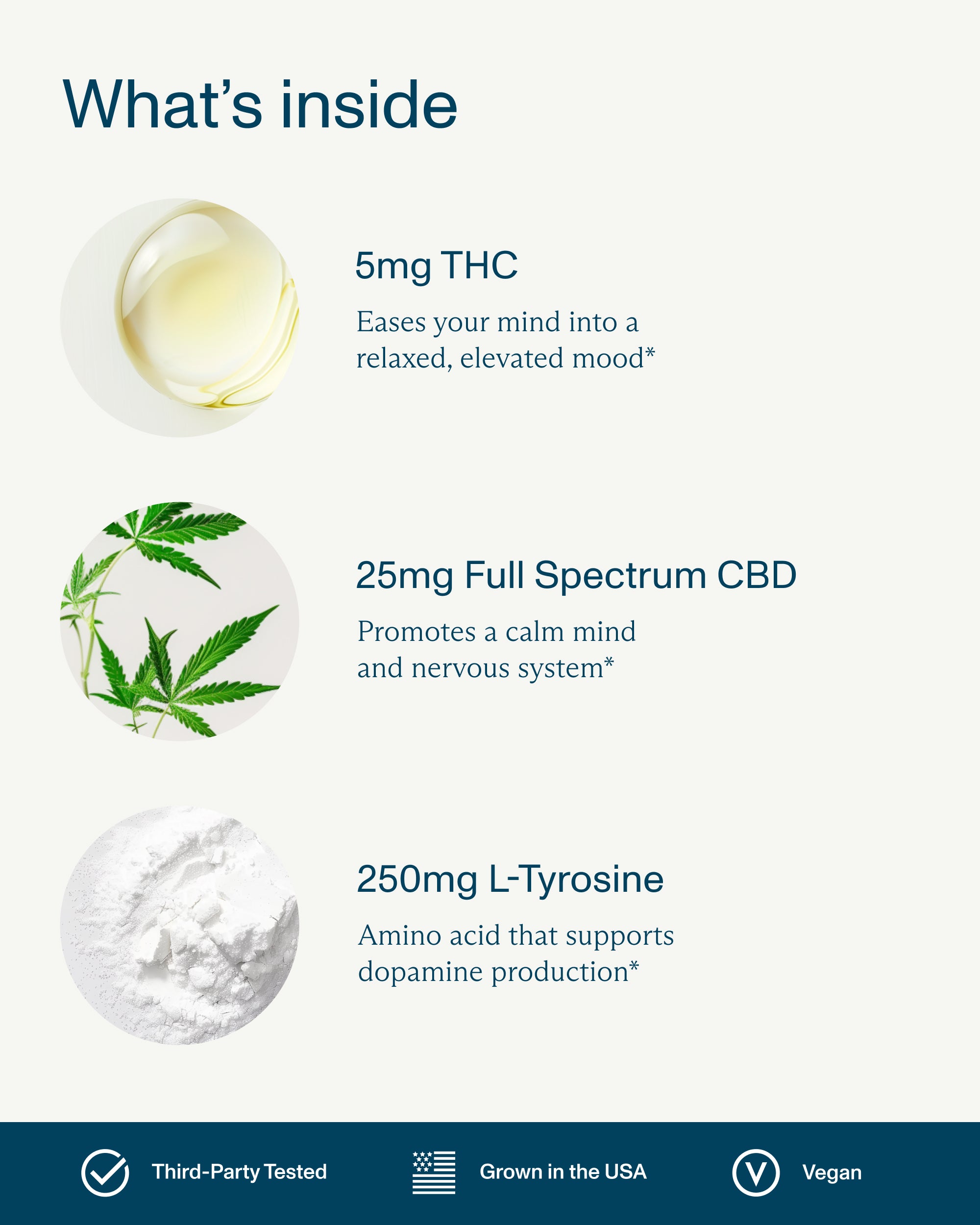 FOCL hemp-based wellness supplement promoting calm, focus, and relief.