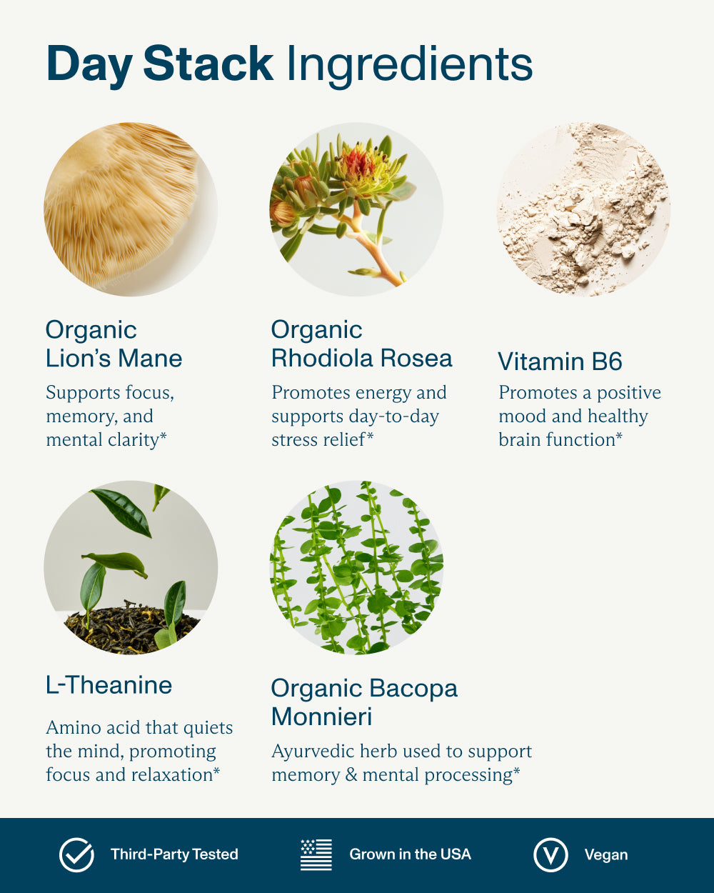FOCL Stacks Bundle with natural superfoods for enhanced focus, calm, and sleep support.