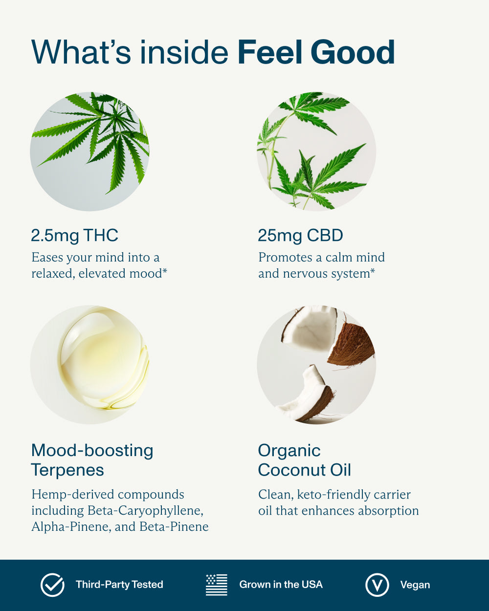 FOCL SummerDrops Bundle featuring premium, plant-based ingredients for enhanced focus and calm.