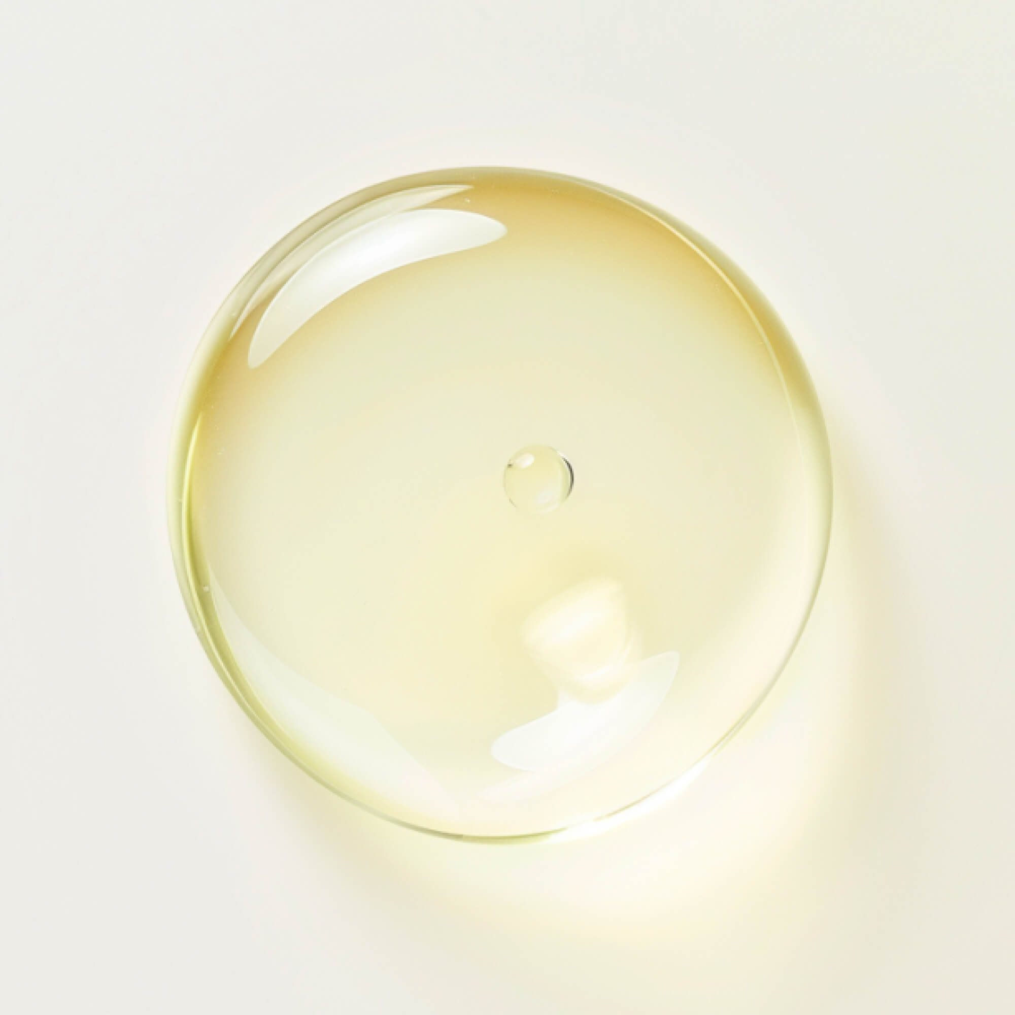 FOCL Terpenes supplement in liquid form - Promoting calm, focus, and relief through plant-based wellness.