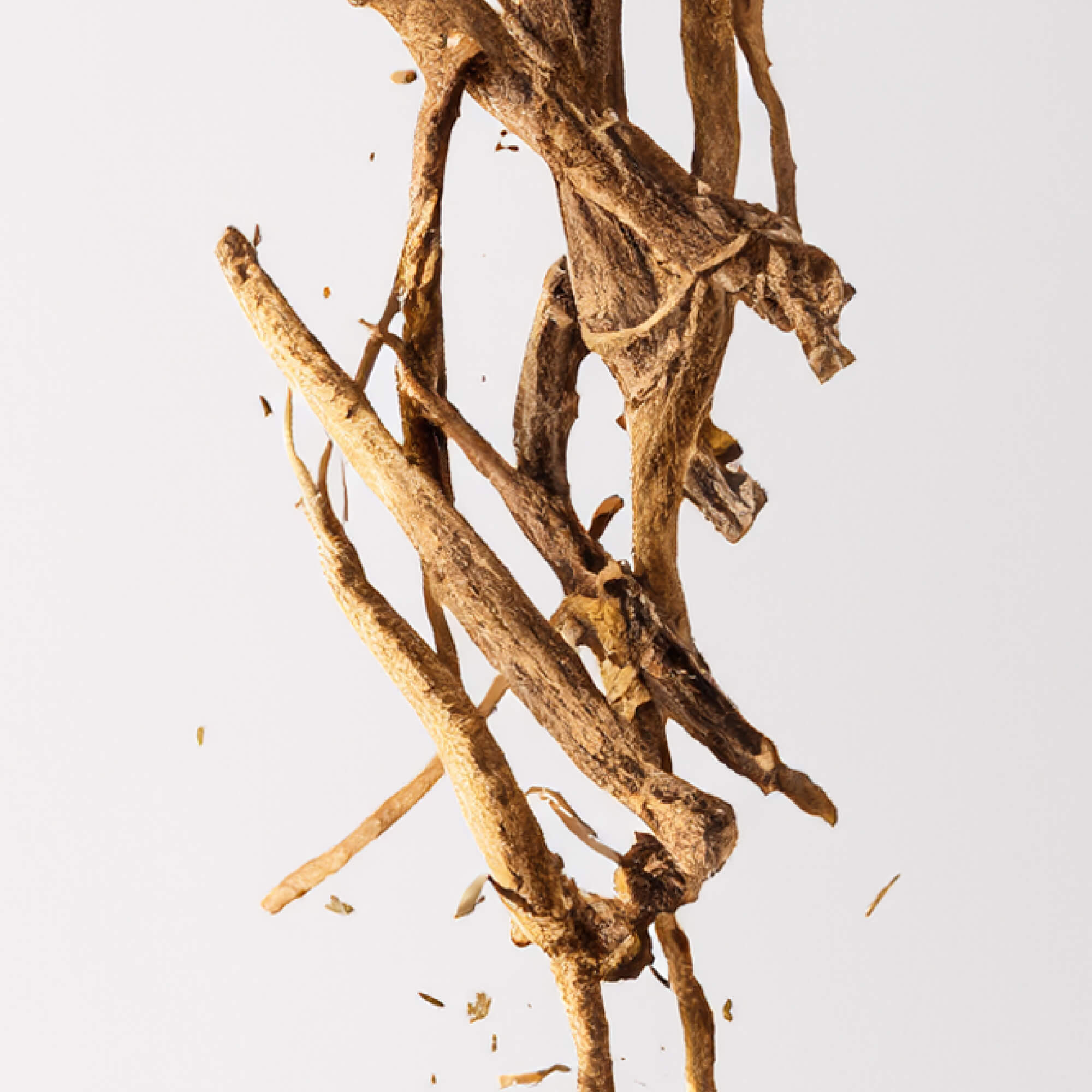 FOCL Valerian supplement - natural, plant-based ingredients - supports restful sleep and calm.