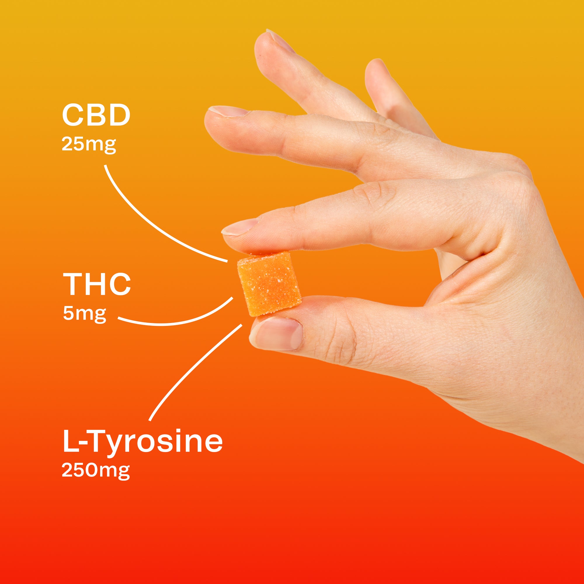 Feel Good CBD + THC Gummies 3-Pack