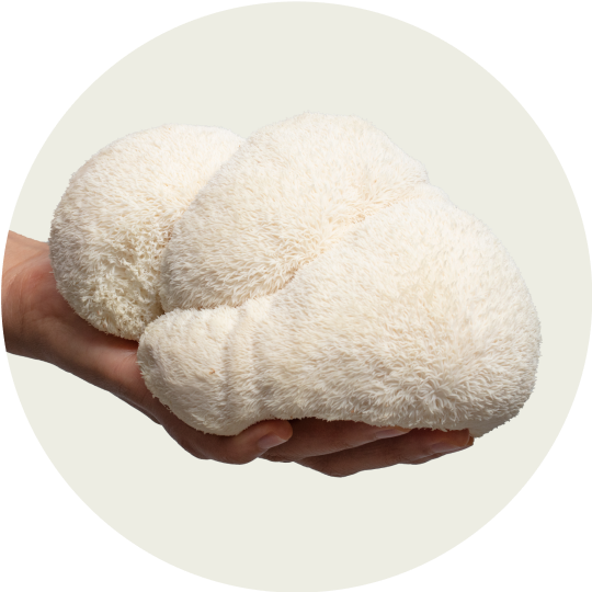 Indg plush toy made of natural materials, promoting calm and relaxation with FOCL wellness supplements.