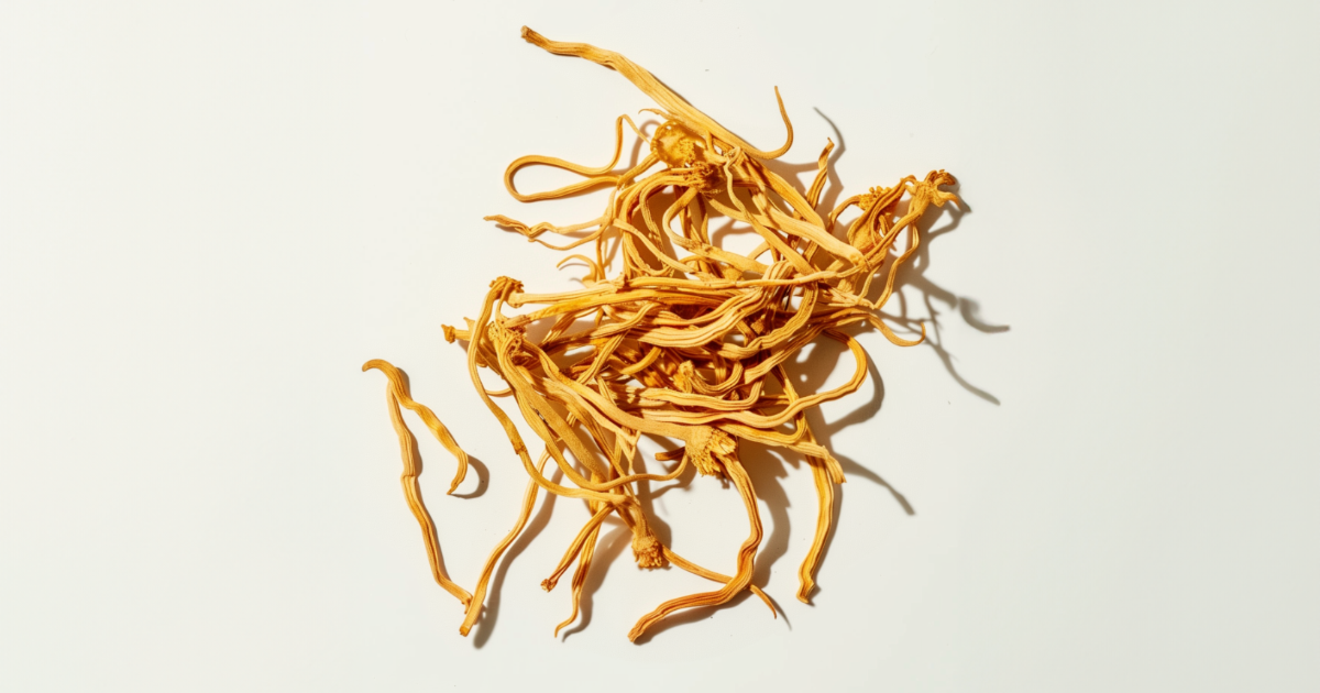 Adaptogens 101: What They Are And How They Help