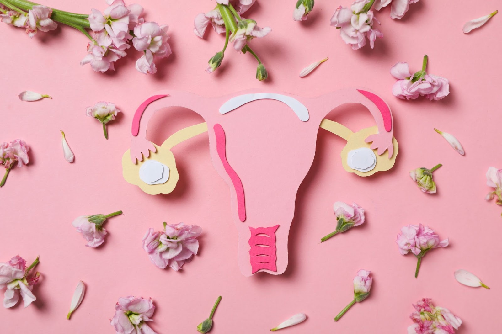 What Hormone Helps Women's Libido?