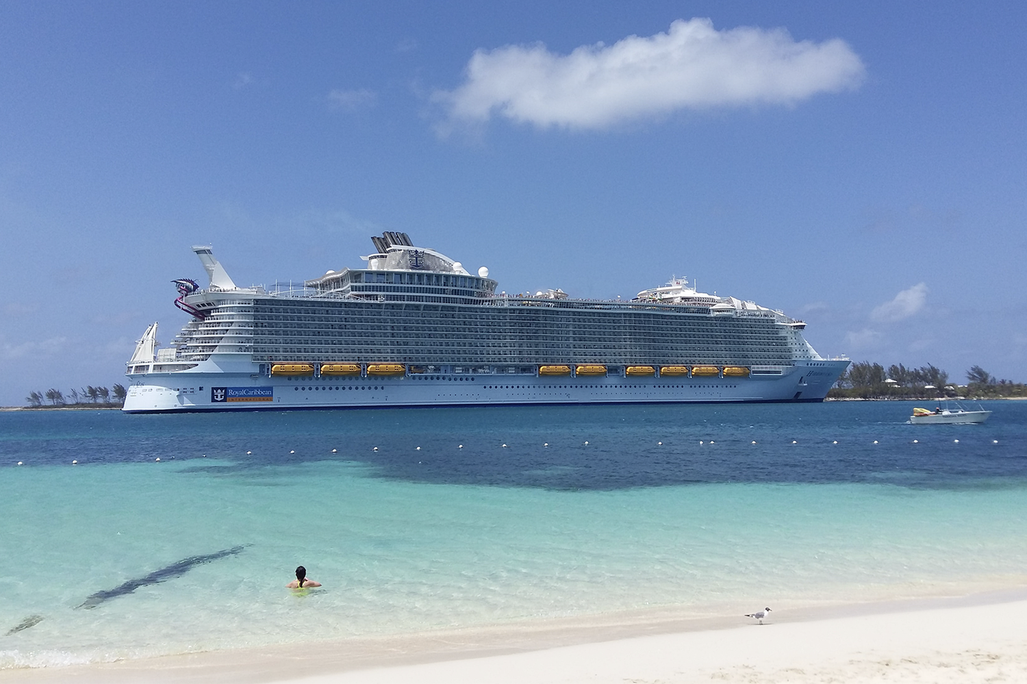 Royal Caribbean cruise ship docked near a beach on a sunny day.