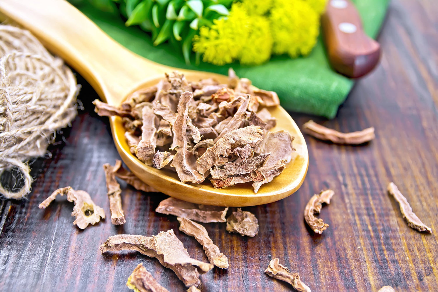 How Rhodiola Rosea Fights off Stress of Modern Life - FOCL