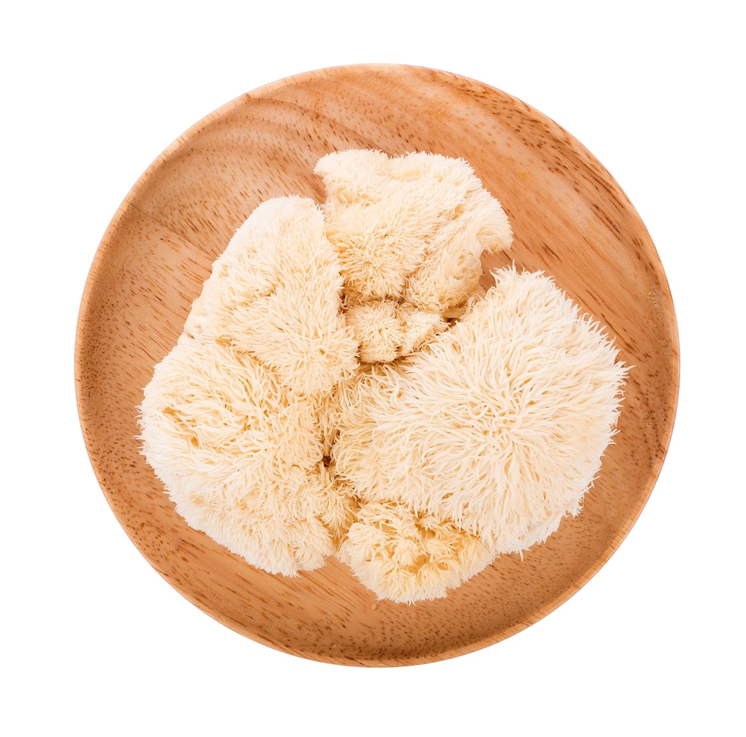 Lion’s Mane: What You Need to Know About the Super Supplement | FOCL