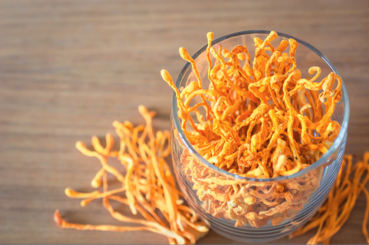 Cordyceps: Benefits, Uses, And History