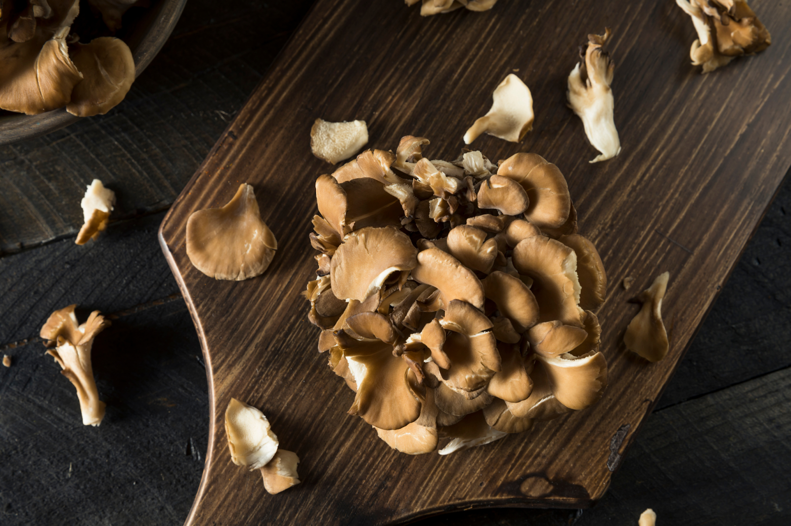  Maitake Mushroom