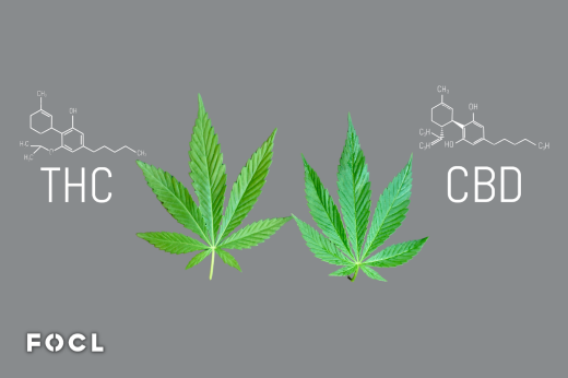 Comparing CBD And THC