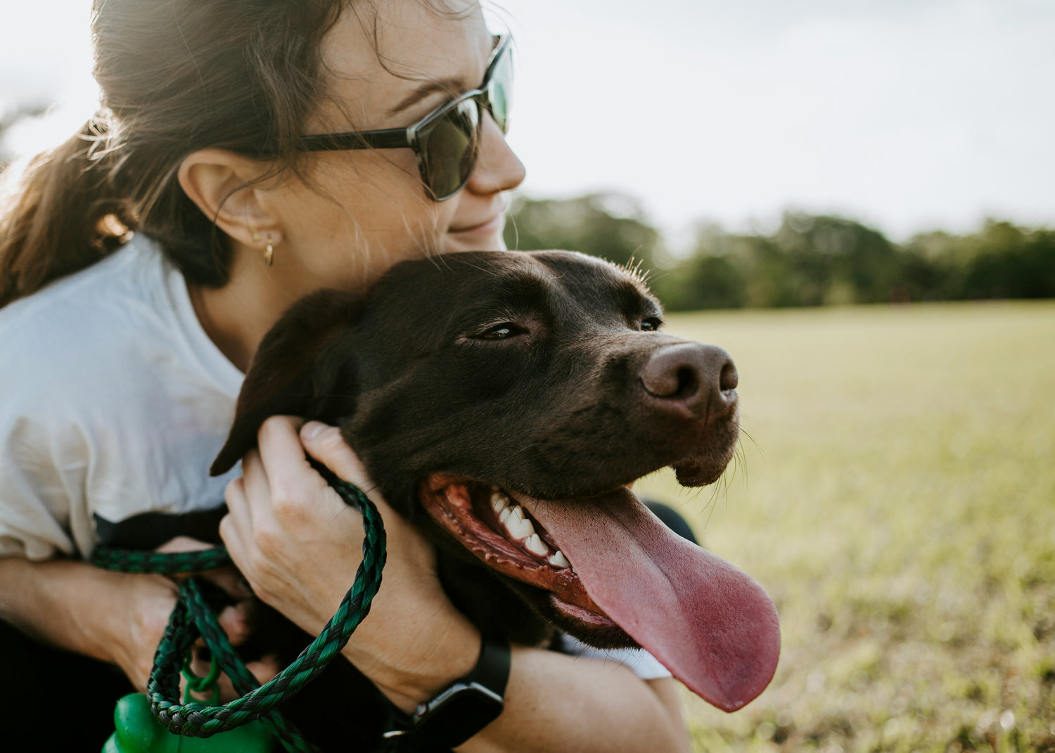 The Therapeutic Power of Pets on Mental Health: A Comprehensive Guide