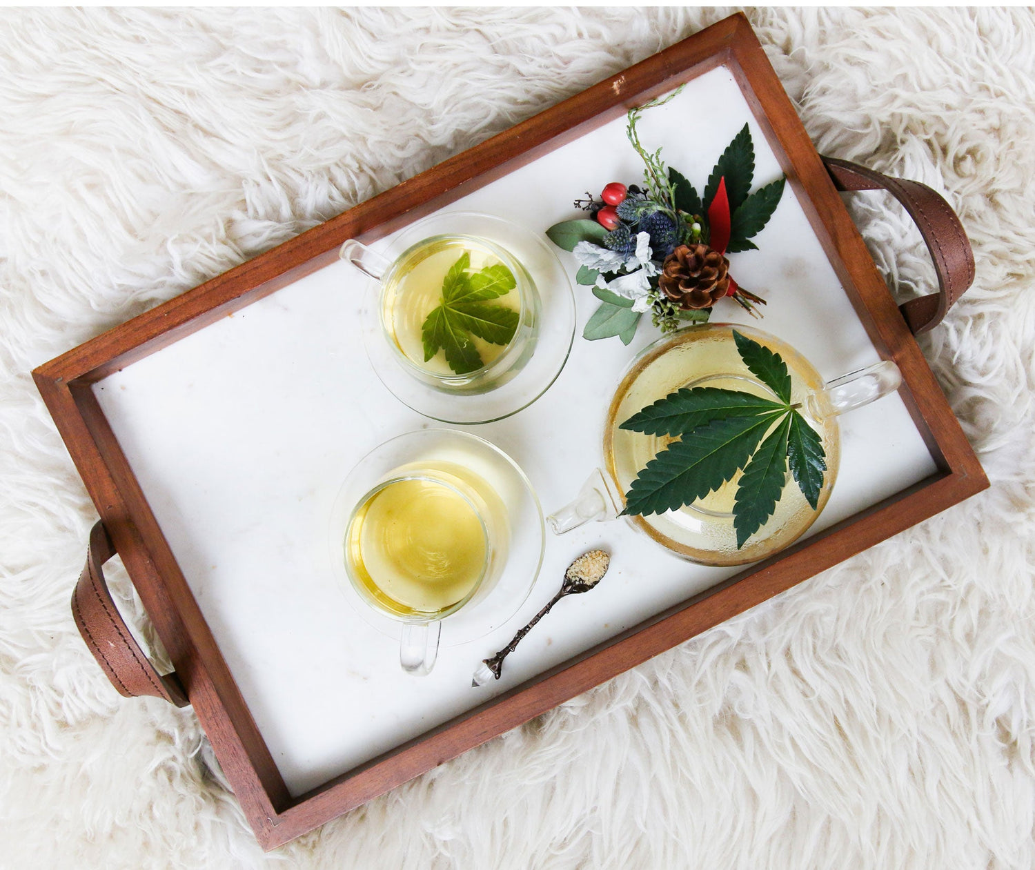 Wellness 101: Five Healing Herbs to Know | FOCL