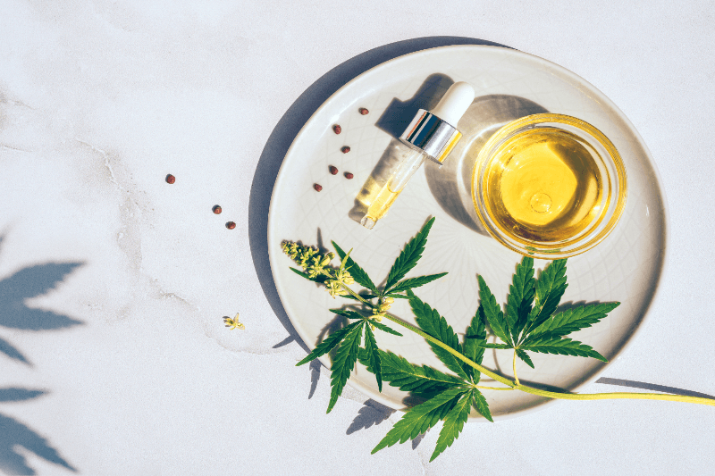 What is the Bioavailability of CBD Oil? - FOCL
