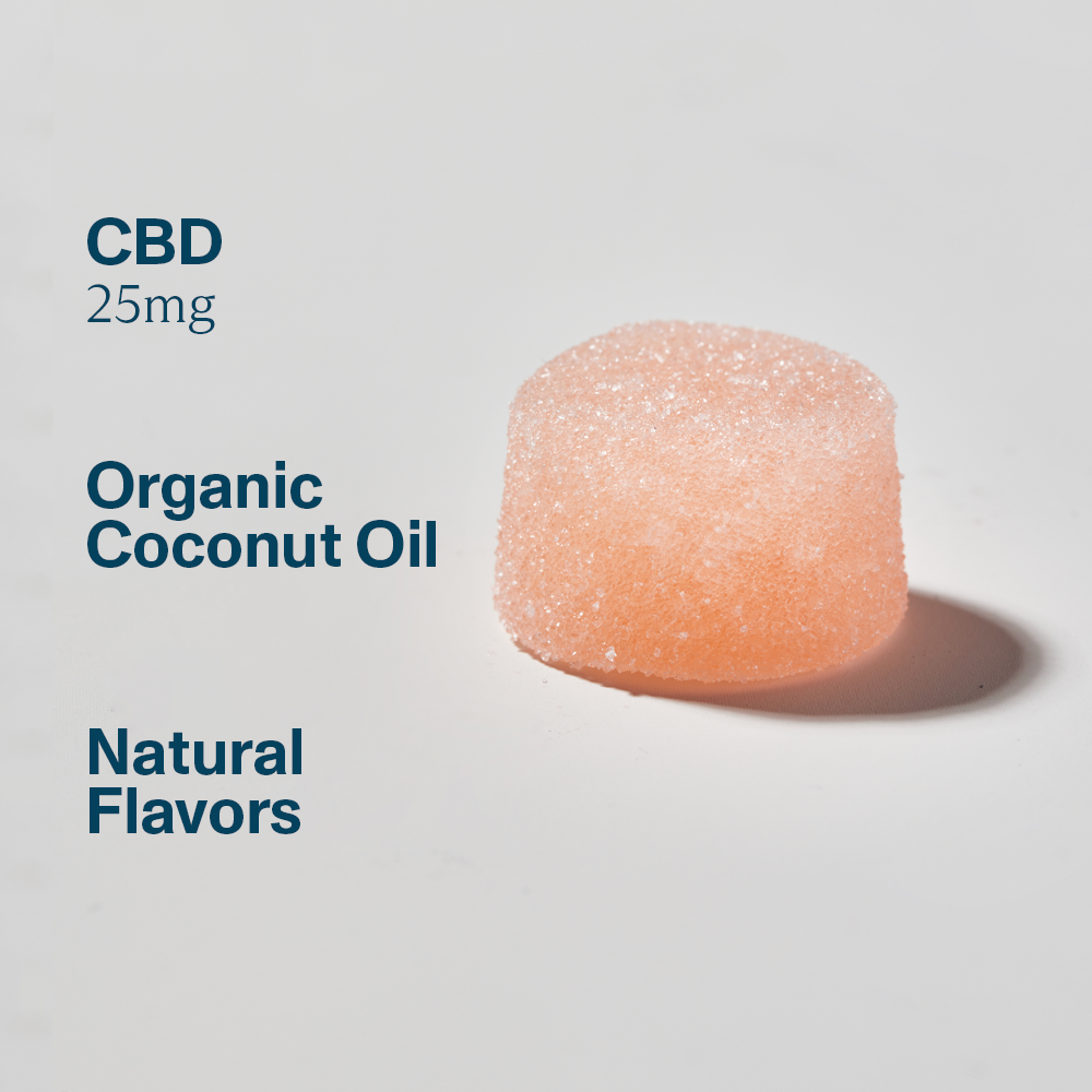 Broad Spectrum Cbd Gummies No Thc 25mg CBD Gummies | No THC | Broad Spectrum | Free Shipping – FOCL