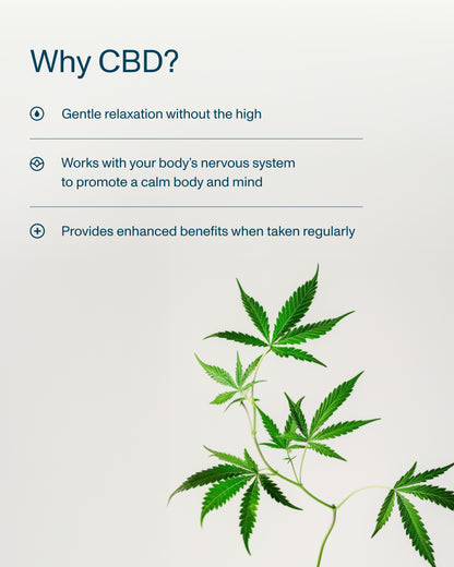FOCL Daily Calm Drops made from high-quality hemp - Promoting calmness and balance.