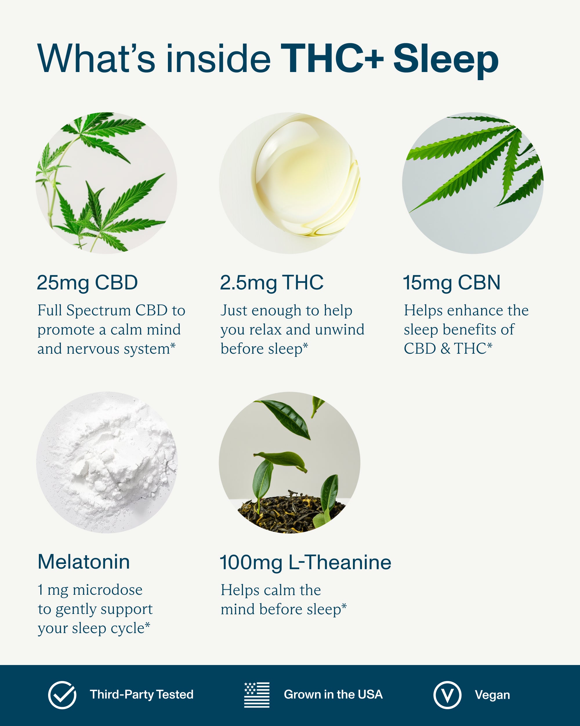 THC+ All-Day Variety Pack | Relax, Feel Good & Sleep | FOCL