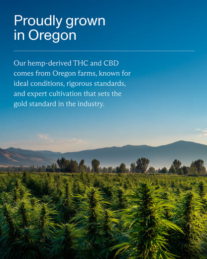 FOCL hemp plantation - showcasing our premium, science-backed ingredients for wellness support.