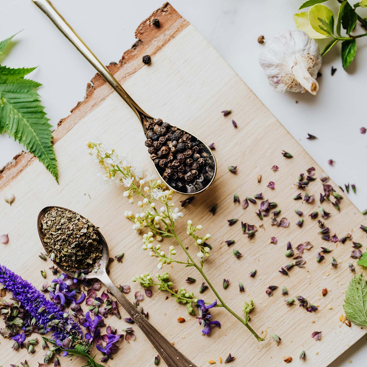 Assorted dried and fresh herbs on a wooden board